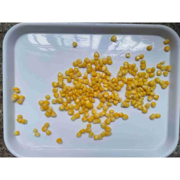 Commercial Sterility Canned Sweet Corn for Natural Color and Processing