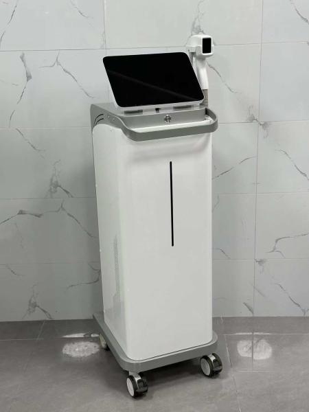 LB-100 1-10J/Cm2 Laser Beauty Machine For Hair Removal CE Approved