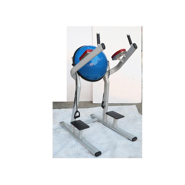 Environmentally Friendly Dip And Leg Raise Machine Dimensional Stable With Bosu Ball