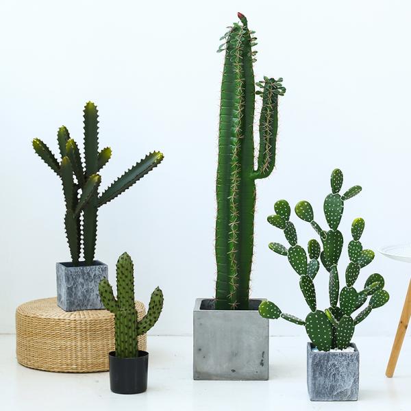 Fashion Cactus And Succulent Fake Plastic Plant For Home Decoration