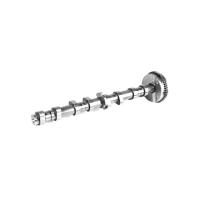 06H109021J Pièces moteur Arbre de cames pour AUDI A5, VW PASSAT, SEAT LEON (1P1)