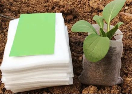 Seed Nursery Agriculture Non Woven Fabric Breathable 100% PP Nonwoven Fabrics