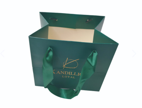 Custom Branded Paper Gift Bags / Clothes Shopping Bags With Rope