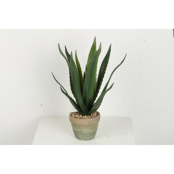 Flexible Glue Artificial Greenery Bonsai Tree Aloe Vera 30 CM 36 CM 50 CM61 CM