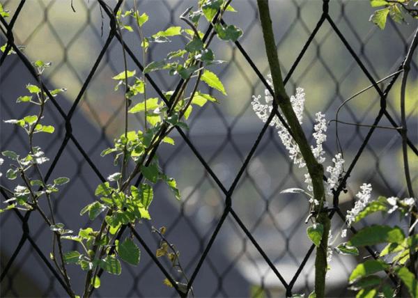 SS316 SS304 Black Oxide Wire Rope Mesh Hand Woven For Mariculture