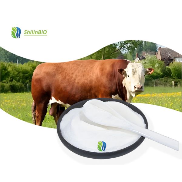 Cosmetic Grade Elastin Peptides 90% Hydrolyzed Elastin Powder