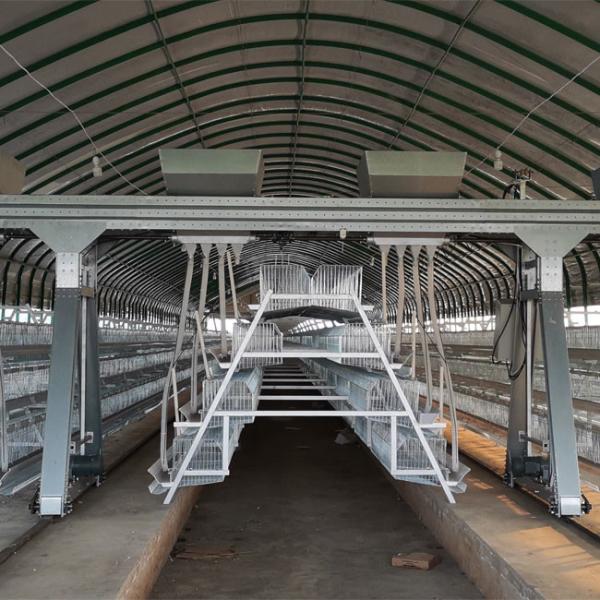 A Type Full Automatic Battery Chicken Cage Cold Galvanized For Farm