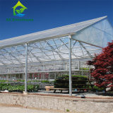 Подгонянный парник сада листа ПК Hydroponic для салата