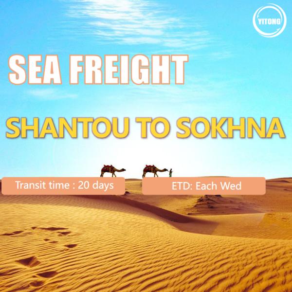 Перевозка моря океана от Китая к товароотправителю перевозки Египта Sokhna международному