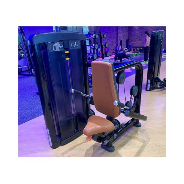 Commercial Heavy Duty Gym Sports Equipment Crossfit Triceps Press Fitness Machine