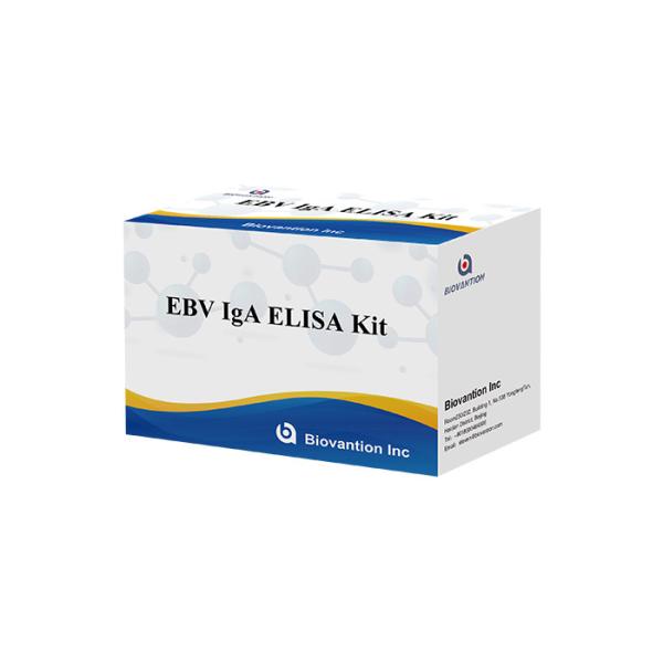 EBV-VCA IgA Ab Test ELISA Kit Enzyme Immunoassay Test Plasma Specimen