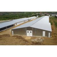 Agricultural Steel Prefabricated Farm Building Chicken House
