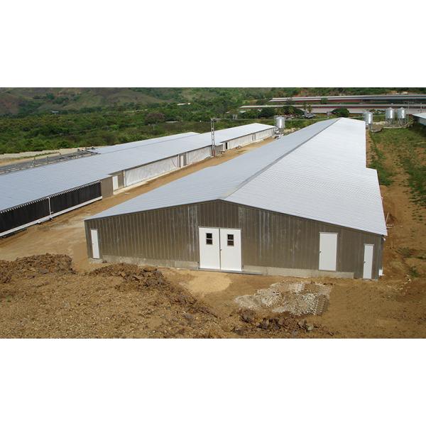Prefabricated Farm Building Layer Broiler Chicken House
