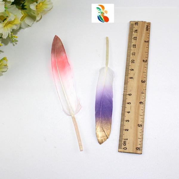 5-6inch Two Tones Millinery Feather , Colored Turkey Feathers For Fashionable Styles