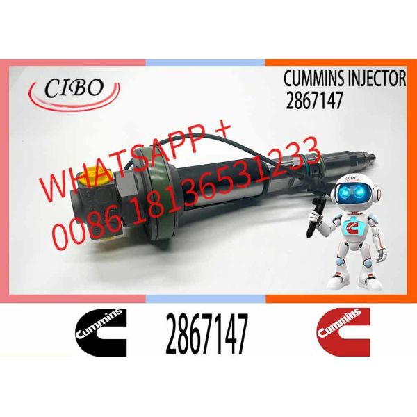 New Good Testing High formance Fuel Injector 2882077 2867147 Y431K05392 2882077PX for QSK19 QSK38 QSK50 More