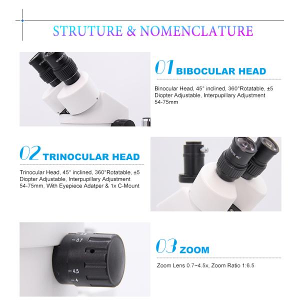 0.7~4.5X Zoom Lens Stereo Optical Microscope A23.1502 With WF 10x/20mm Eyepiece