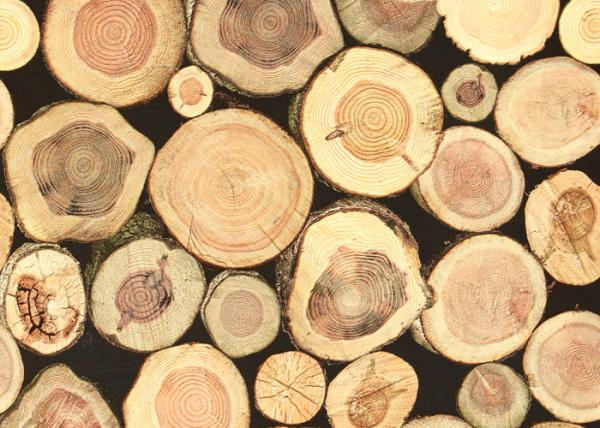 Soundproof Wood 3D Room Wallpaper , 3D Vinyl Wallpaper For TV Background