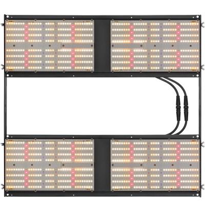 A placa VERMELHA UV HLG 240H Dimmable do quantum 480W do IR conduzido cresce clara