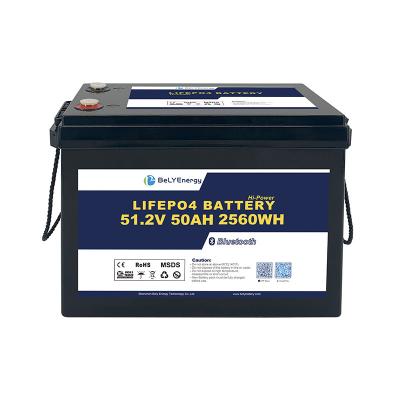 Cost Effective Longevity 51.2V 50Ah Lifepo4 Battery 3000 Cycles For Storage System