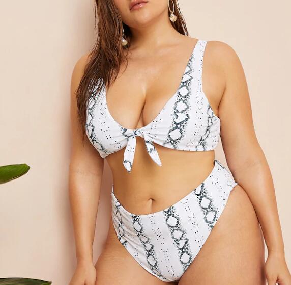 2019 New Plus SizeTwo piece  Swimsuit Women Push up