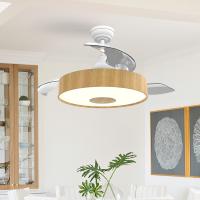 European Style BLDC Ceiling Fan 42 Inch Retractable Ceiling Fan With Light And Remote