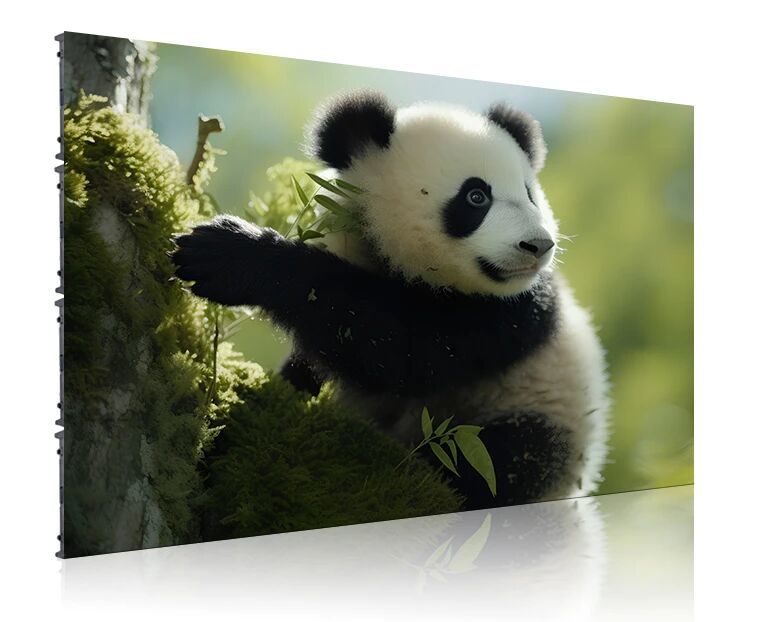 High Definition High Refresh Lightweight Flexible High Performance Indoor LED Display