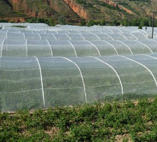 PVC 40mesh Insect Mesh Net Non Toxicity For Greenhouse Protections