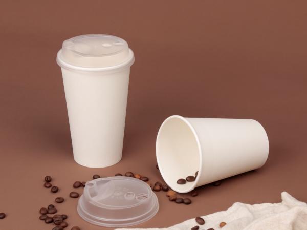 Biodegradable Plastic Free Craft Coffee Cup Degradable Double Wall Paper Cups Recyclable