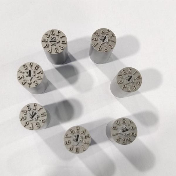 Replaceable Date Stamp with 48-54HRC Hardness American Standard Mold Date Insert