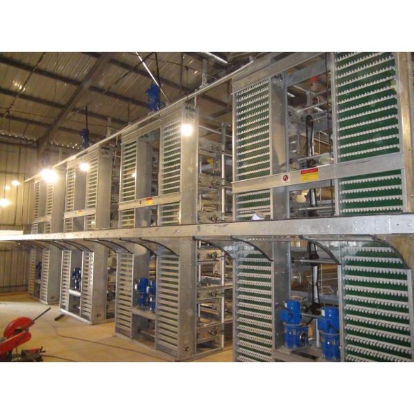 Q235 Hot Galvanized Automatic A Type H Type Poultry Farming Chicken Cage For Layer Equipment
