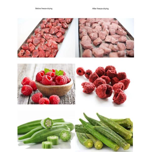 Advanced Household Freeze Dryer for Dried Fruit Products 6kg/h Water Evaporation