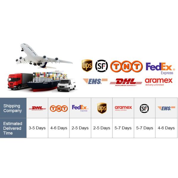 Échelle de cuisine numérique RTS 500-0,1 Grammes Affichage LCD Outils et gadgets de cuisine pour une mesure précise du poids