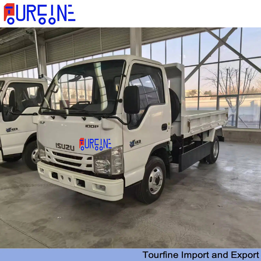 New Isuzu 4x2 Small Dump Truck 2 Ton 3 Ton Capacity with Hydraulic Tipping Body