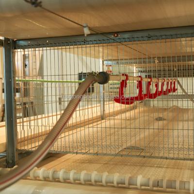 Economic Layer Duck Cage Battery Laying Meat Duck Breeding Cages for Egg Layer Ducks Farm