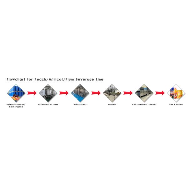 технологическая линия плода абрикоса персика управлением PLC 3tons/Day