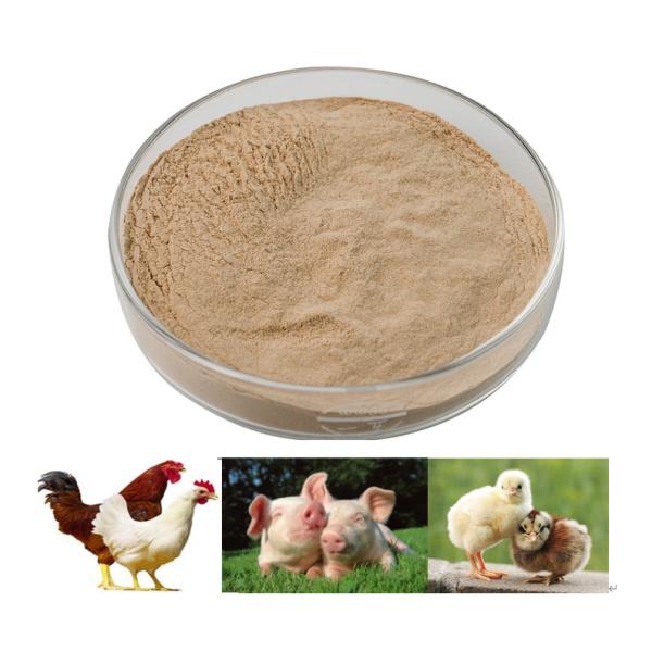 BP100 Feed Grade Protease Powder Or Granule Strong Degradation Ability Of Feedstuff