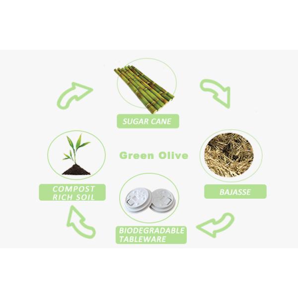 Leakproof Compostable Sugarcane Bagasse Coffee Cup Cap