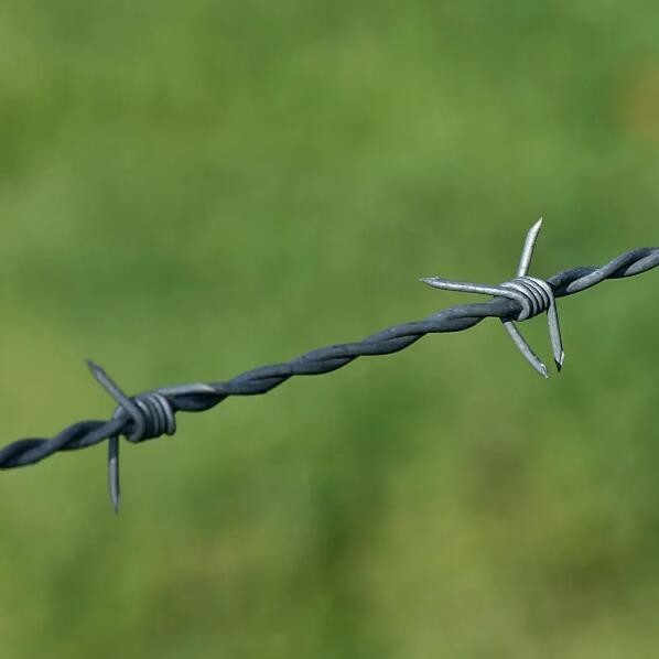 колючая проволока охранный забор оцинкованный забор с колючей проволокой лезвие колючая проволока колючие проволоки оцинкованные пластиковые колючие проволоки ферма ограждение колючая проволока колючая проволока ограждение рулон