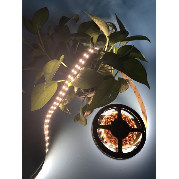 DC12 / 24V Flexible LED Strip Light For Shopping Mall Lighting With Double Line 5050 LED