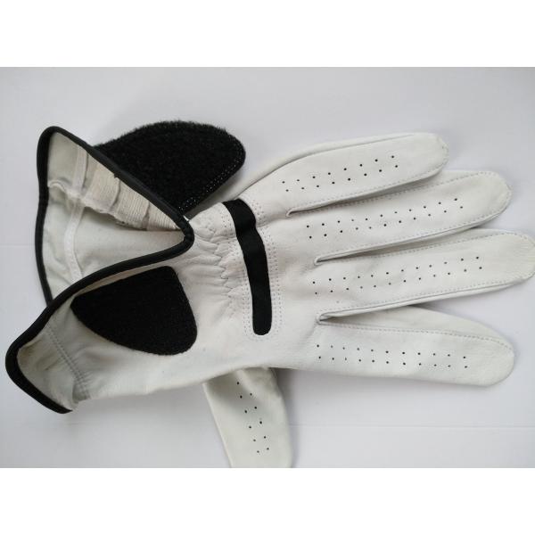 golf glove , golf gloves , glove , gloves