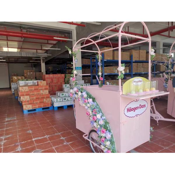 Electric Solar Panel Food Tricycle for Easy and Convenient Operation 277*210*70cm