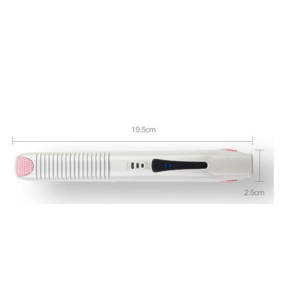 PET Housing 2600mAh Rechargeable Hair Straightener