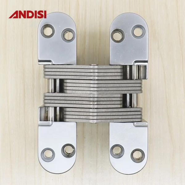 Zinc Alloy Pivot Hidden Butt Cross Special Type Invisible Hinge for Furniture Market