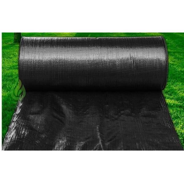 Сплетенная PP засорителя HDPE ткани ландшафта 4mm циновка пластикового анти- садовничая