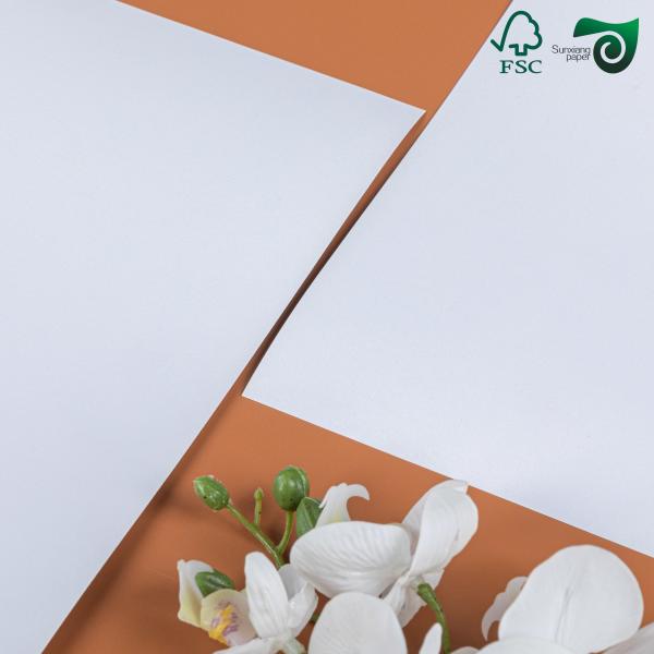 80gsn 23 29 Inch Double Sided Gloss Coated C2S White Cover Paper FSC Art Paper