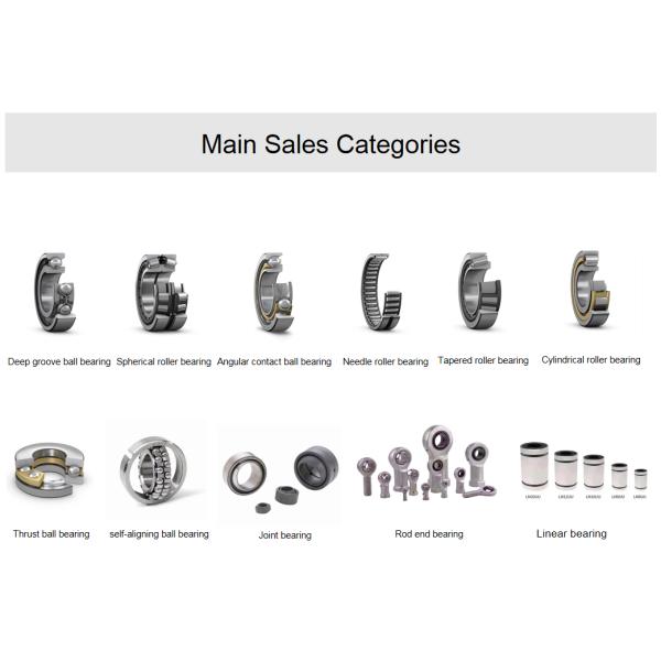 Product Category Single Row Cylindrical Roller Bearings NJ305 NJ306 NJ307 NJ308 NJ309