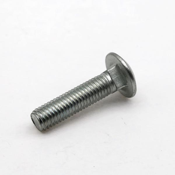 Stainless Steel Customization Carriage Bolts ASTM A307 DIN 603