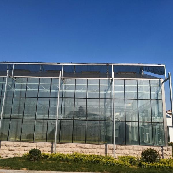 12m Span Gutter Connected Venlo Tempered Glass Greenhouse For Flowers 12x10 12x12 12x14