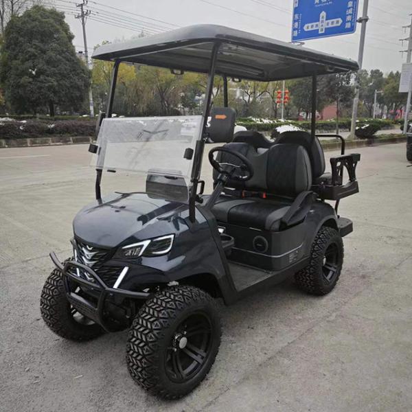 Lake Horse Golf Cart Tire Electric Car Golf Buggy Mini with 7-9h Charge Time