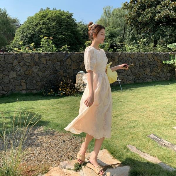 Back Tie Bow Waist Puff Sleeve A Line Dress